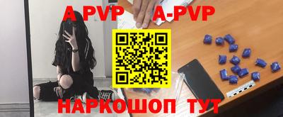 apvp Бердск